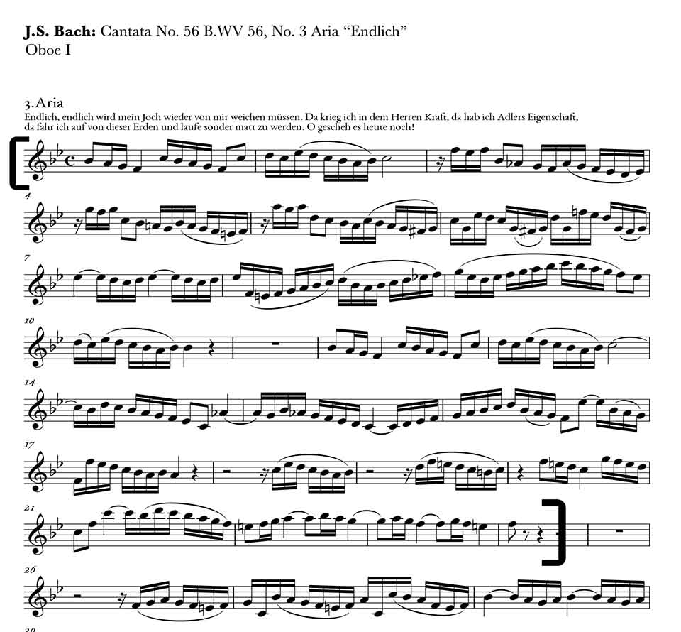 Cantatas N.173 A, 36 B, 36 C (Suplem)-Vol.46 (partitura de bolso